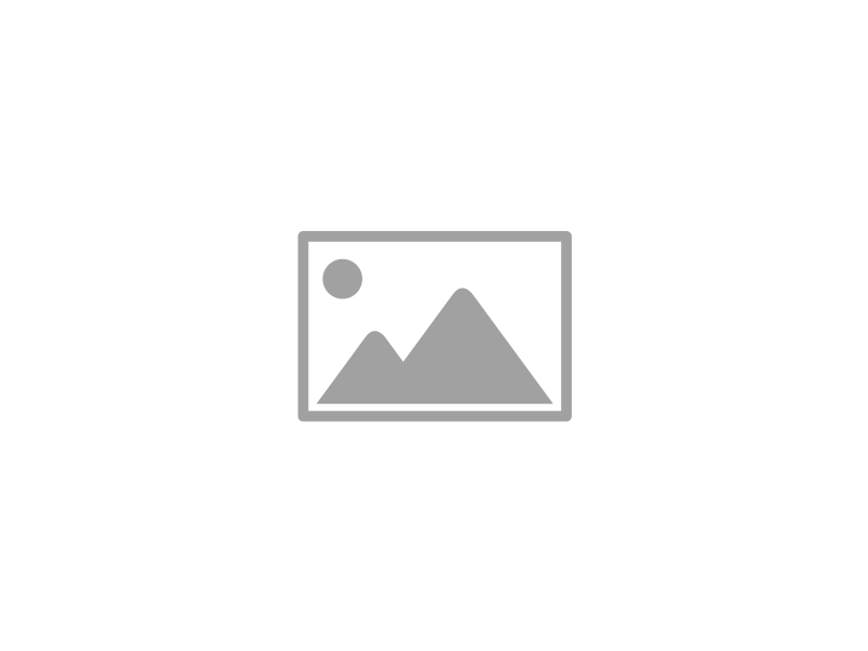 Family Justice Institute